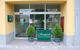 Aranytal Panzio